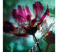 Chrysalides [Import Allemand]