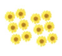 Chrysanthèmes Séchés 12 Pièces, Fleurs Pressées Jaunes pour Nail Art