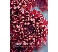 Chrysanthemums