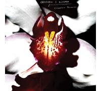 Chrystabell & David Lynch Cellophane Memories (Vinyl)