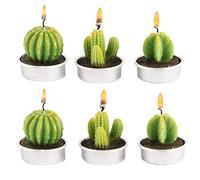 CHSG 6 Pcs Mini Bougies Chauffe-Plat Cactus Parfumées, Sans Fumée, Bougies Cactus Chauffe-Plat À la Bougies Succulentes Vertes Mignonnes pour Anniversaire, Mariage, Spa, Décoration