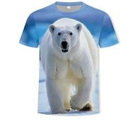 CHSLO Hommes 3D Imprimé T-Shirts T-Shirt D'Été Unisexe avec Impression Numérique 3D, Col Rond, Manches Courtes, Ample, Extensible, Demi-Manches, Carlin, Haut Surdimensionné