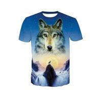 CHSLO Hommes 3D Imprimé T-Shirts T-Shirt D'Été Unisexe avec Imprimé Numérique 3D, Col Rond, Manches Courtes, Ample, Respirant, Extensible, Manches Mi-Longues, Haut De Sport Surdimensionné