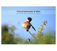 Chuchotements d'ailes - Une année dans l'intimité des oiseaux (Calendrier de bureau 2027 DIN A5 vertical), CALVENDO calendrier mensuel: Un calendrier ... la splendeur de leurs instants suspendus.
