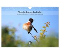 Chuchotements d'ailes - Une année dans l'intimité des oiseaux (Calendrier mural 2026 DIN A4 vertical), CALVENDO calendrier mensuel: Un calendrier ... la splendeur de leurs instants suspendus.