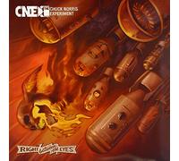 Chuck Norris Experiment - (Black) Right Between the Eyes