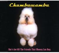 Chumbawamba - She's Got All the Friends