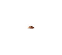 Chunks de prunier pour fumage - 1,5 Kg