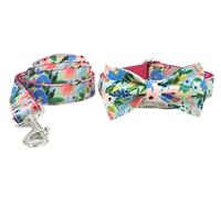 CHUNXVLI Laisse pour Animaux Impression de Laisse de Collier de Chien de Compagnie réglable Collier en Polyester Confortable Fournitures pour Animaux de Compagnie Toutes Races(42-48cm)