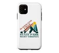 Chutes de Blackwater Coque pour iPhone 11