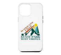 Chutes de Blackwater Coque pour iPhone 12 Pro Max