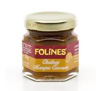 Chutney Mangue Curcuma 40g