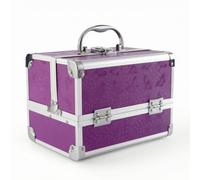 ChuYiElegance Professional Makeup Case Mallette Maquillage Boîte Cosmétiques Coffret Pinceaux avec Miroir Intégré Structure Rigide Antichoc Protégés Rails de, Style Coréen, Array, Papillon Violet