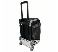 ChuYiElegance Trousse de Maquillage Portable Valise Maquillage Mallette Cosmétique Trolley Maquillage avec Châssis en Alliage d'Aluminium Roues Fluides Poignée