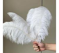 CHUYIX Lot de 3 plumes d'autruche naturelles - 35-40 cm - Plumes douces - Blanches - Pour bricolage, maison, mariage, fête, bureau, décoration, bouquet de plumes, bricolage, accessoires de bricolage,