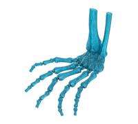 ChuyTrading Modèle en Plastique d’Une Main squelettique imprimée en 3D, Accessoire Effrayant à Doigts articulés, Main de déguisement de sorcière ou de fantôme Couleur Vert Paon pour Halloween
