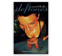 CHYgalvantic Album de musique Deftones Poster Around The Fur - Impression sur toile - Décoration murale - Décoration murale pour chambre à coucher - 40,6 x 61 cm - Sans cadre - Style 5