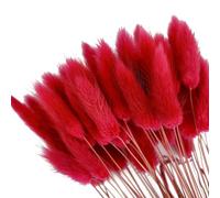 ChYoung 50pcs lapin queue pampas herbe décoration artificielle duveteux lapin queue fleurs séchées bouquet rustique ferme bohème mariage partie DIY arrangement floral maison décoration de table