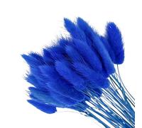ChYoung 50pcs lapin queue pampas herbe décoration artificielle duveteux lapin queue fleurs séchées bouquet rustique ferme bohème mariage partie DIY arrangement floral maison décoration de table
