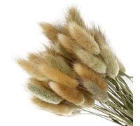 ChYoung 50pcs lapin queue pampas herbe décoration artificielle duveteux lapin queue fleurs séchées bouquet rustique ferme bohème mariage partie DIY arrangement floral maison décoration de table