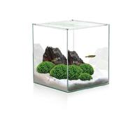 CIANO-Aquarium cuve nue Cube - 18L
