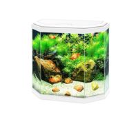 CIANO-Aquarium équipé 30 Light blanc - 30L