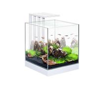 CIANO-Aquarium équipé Nexus 25 LED blanc - 22L
