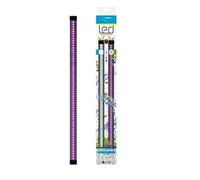 Ciano CLA 60 Lampe pour Plantes avec Convertisseur pour Aquariums
