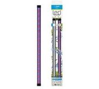 Ciano Rampe LED pour plantes Convert. Aqua 60 80 LED