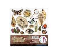 Ciao Bella Collection Cabinet of Curiosities Cut Pad 15,2 x 15,2 cm