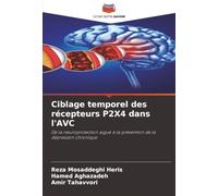 Ciblage temporel des récepteurs P2X4 dans l'AVC: De la neuroprotection aiguë à la prévention de la dépression chronique