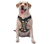 Cible de fléchettes en Spirale Droste,Harnais pour Animaux de Compagnie, Harnais réfléchissant réglable pour Chien,XL