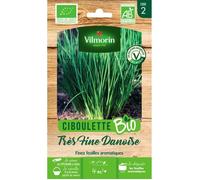 Vilmorin - Sachet graines Ciboulette très fine danoise BIO - Allium schoenoprasum