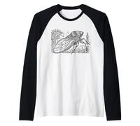 Cicadelle Linéaire Entomologiste Manche Raglan