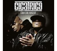 Cicatrice - Couleur Argent