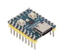 ciciglow Carte de Développement RP2040 Zero M, Kit de Microcontrôleur Double Cœur à Port USB C pour C, C + +, pour Le Développement Python