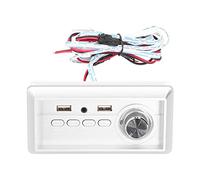 ciciglow Mini Amplificateur de Puissance Bluetooth 5.0, Lecteur de Panneau Audio MP3, 5 W × 2 avec Entrée AUX/USB/Bluetooth, Récepteur Audio sans Fil, Carte Son PC avec Alimentation Secteur (5 V)