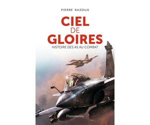Ciel de gloires Histoire des as au combat - Pierre Razoux - Flammarion - broché - Essai