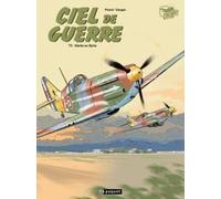 Ciel de guerre T3: Alerte en syrie