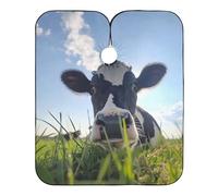 Ciel Dégagé Unisexe Cape De Barbier Réglable Cape De Coiffure Professionnelle Capes De Coiffeur De Salon Pour Coupe De Cheveux Coupe Et Coloration Usage Domestique 168X140Cm