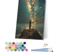 Ciel éToilé Peinture Numero Adulte avec Cadre, Peinture Numero Adulte Femme sur Toile, DIY Loisirs Créatifs Adultes, Paint by Numbers Kit avec Peintures et Pinceaux, Decoration Maison 20x30cm 0-8054