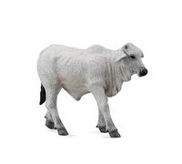 Ciele brahman