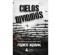 Cielos Divididos: una historia de guerra, caída y amor.
