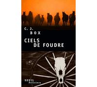 Ciels de foudre