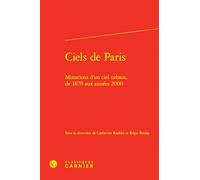 Ciels de Paris: Mutations d'un ciel urbain, de 1870 aux années 2000