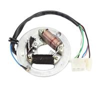 CIENUWPD Bobine magnétique de stator de Moteur de Moto Bobine d'allumage Stator magnétique pour Yamaha PW80