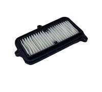 CIENUWPD Filtre à air de Remplacement pour Moteur de Moto, élément de Filtre d'admission d'air pour Hyosung GV250 GV 250 QM250-6 250cc(As The Picture)