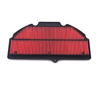 CIENUWPD Filtre à air pour Moteur de Moto, élément de Filtre d'admission d'air pour Suzuki GSXR1000 GSX-R1000 2009-2016 GSXS1000 2015-2020 Katana 2019-2021(As The Picture)