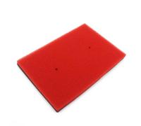 CIENUWPD Filtre à air pour Moteur de Moto, Filtre d'admission d'air, éponge en Mousse Double pour Kawasaki Ninja 250R 300 Z300 2008-2012(1pc)