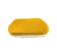 CIENUWPD Filtre à air pour Moteur de Moto, Filtre d'admission d'air, éponge en Mousse Double pour Yamaha YZF-R6 YZF R6 YZFR6 1999-2005(As The Picture)